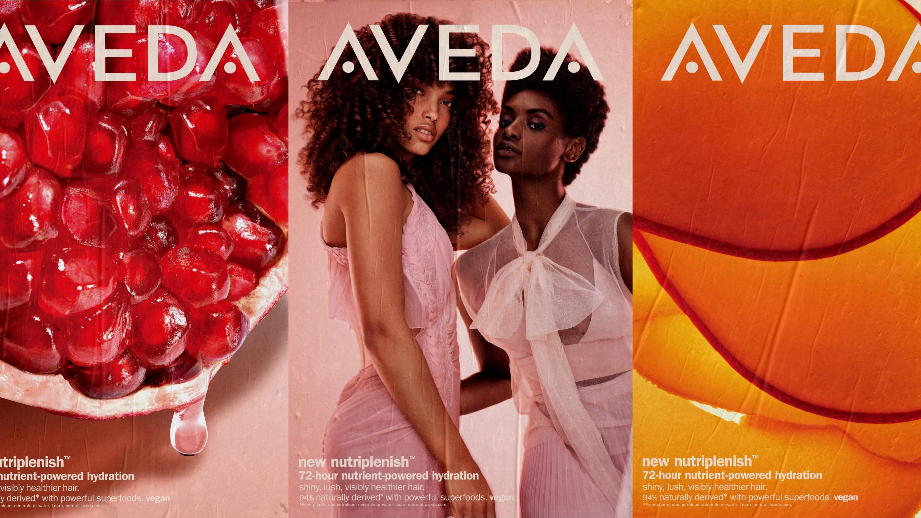 Aveda Nutriplenish advertising poster