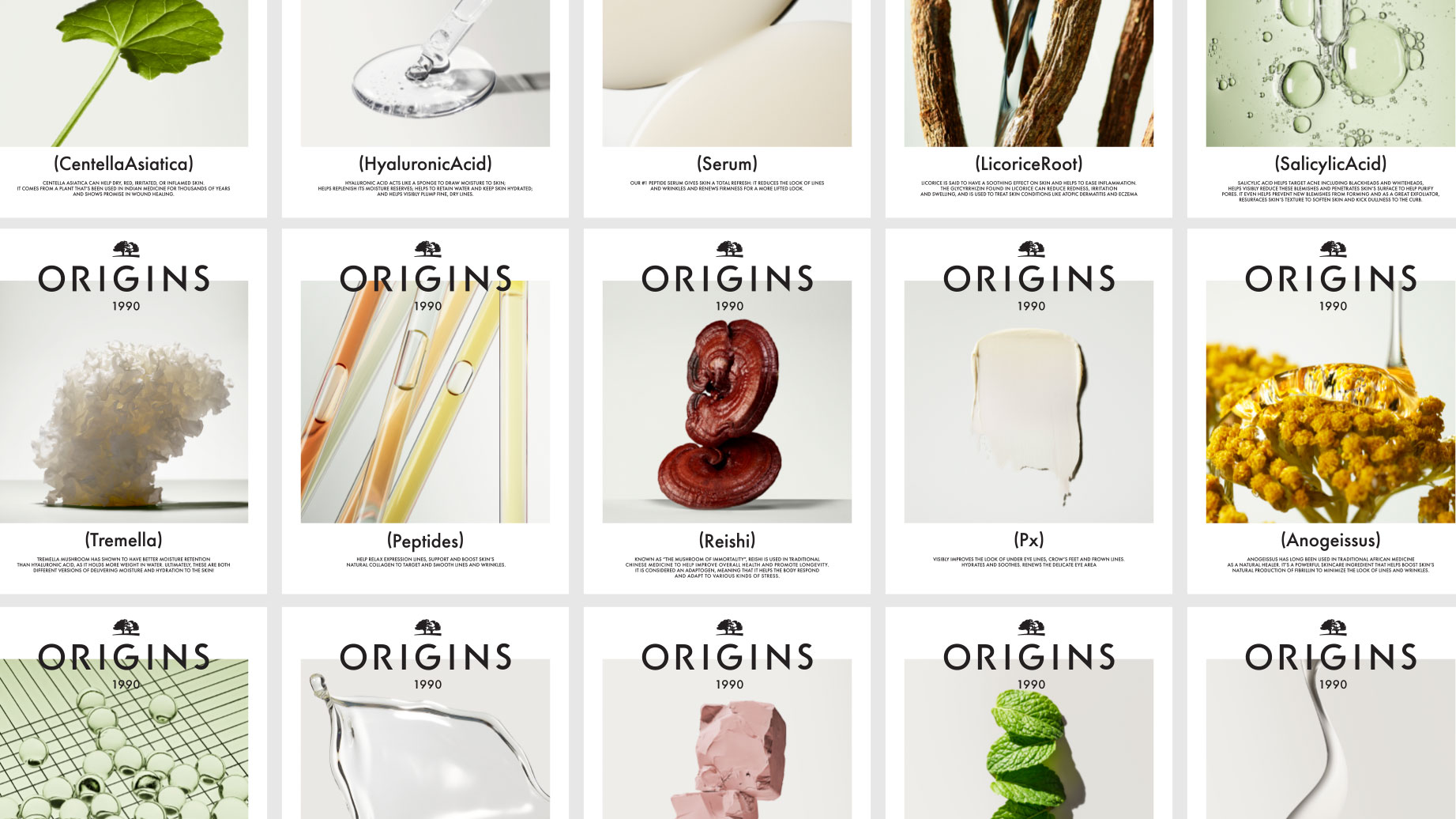 ORIGINS Ingredients