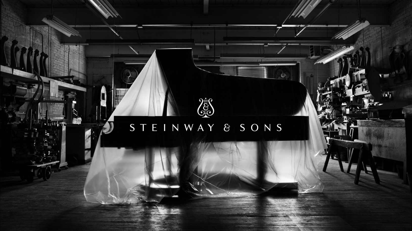 Steinway & Sons – 1 in 100,000 Brand Image and Logo
